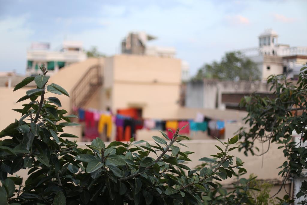 Lassi Guest House Udaipur Buitenkant foto